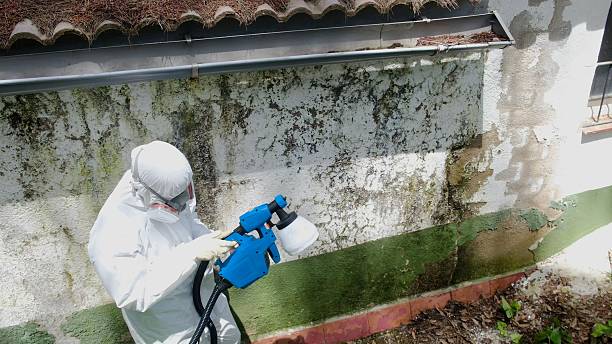 Top rated local Attic Mold Remediation specialists in Broadway, VA